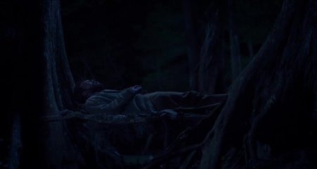 Свободный штат Джонса (2016)