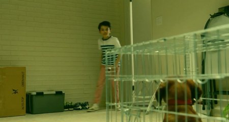 Такса (2016)