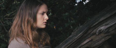 Наследие Викингов (2016)
