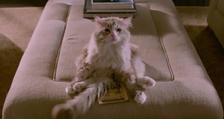 Девять жизней (2016)