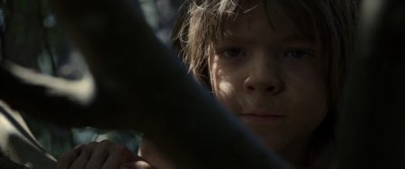 Пит и его дракон (2016)