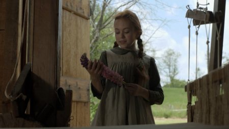 Энн из Зеленых Крыш (2016) Энн из Зеленых Крыш (2016)