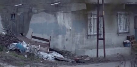 Безумие (2015)
