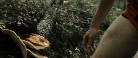 Озеро желаний (2016)
