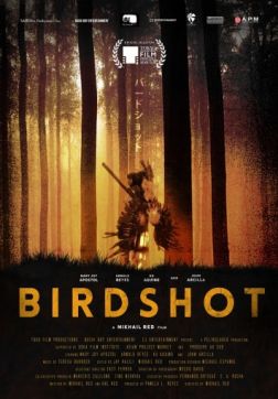 Дробь (2016)