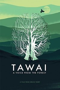 Фильм Таваи: голос, идущий из леса (2017)