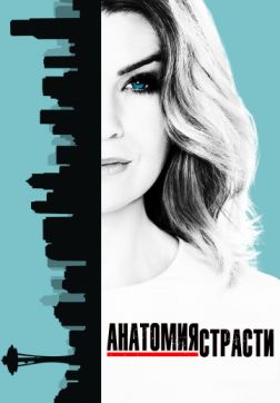 Фильм Анатомия страсти (16 сезон)