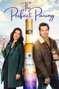 Фильм Идеальное сочетание (2022)