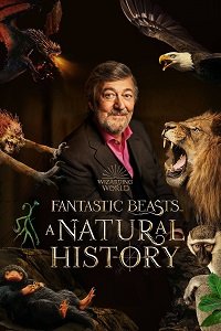 Фильм Фантастические твари: Естественная история (2022)