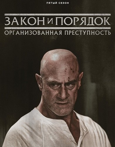 Закон и порядок: Организованная преступность (5 сезон)