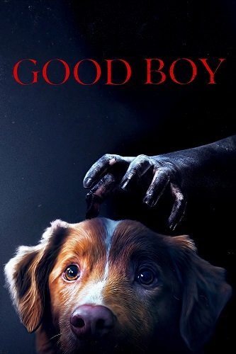 Фильм Глазами пса (2025)