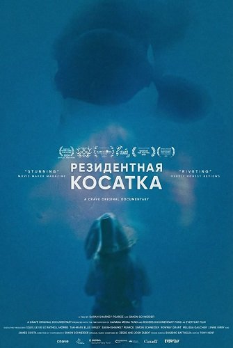 Резидентная косатка (2024)