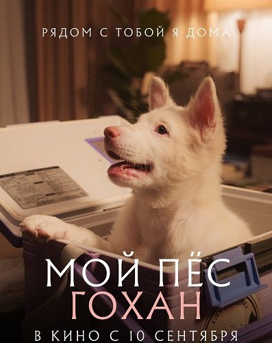 Мой пёс Гохан (2026)