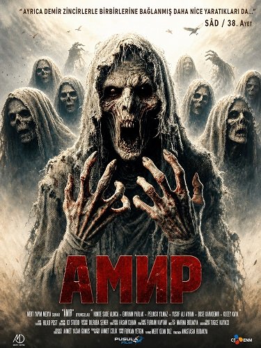 Фильм Амир (2024)